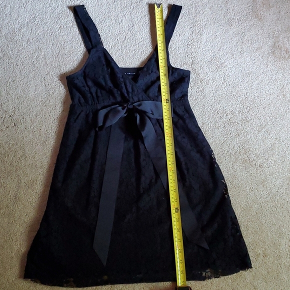 ⭐️ 3/$15 ⭐️ The Limited lace mini dress - Picture 7 of 8